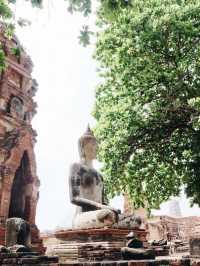 แพลนเที่ยวอยุธยา ฉบับ 1 DAY TRIP 🌳