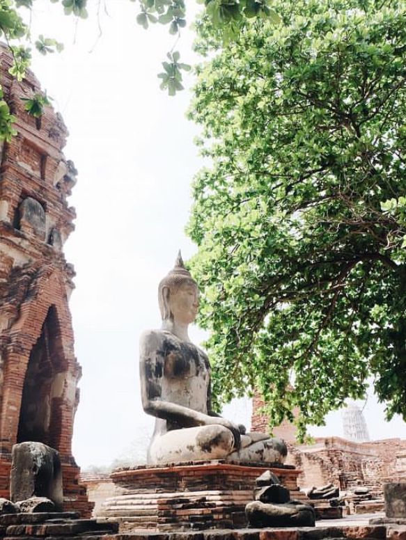 แพลนเที่ยวอยุธยา ฉบับ 1 DAY TRIP 🌳