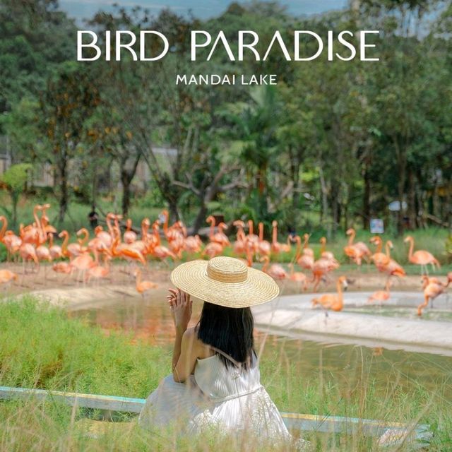 Bird Paradise Singapore