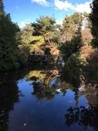 A Rare View of Antartica at the Royal Tasmanian Botanical Garden in Hobart