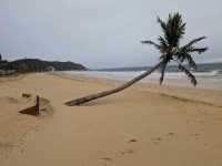 Moreton Island