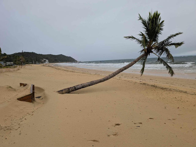 Moreton Island