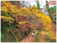 【岐阜/多治見】国宝に指定された観光スポット‼︎＊虎渓山 永保寺 （こけいざん えいほうじ）＊