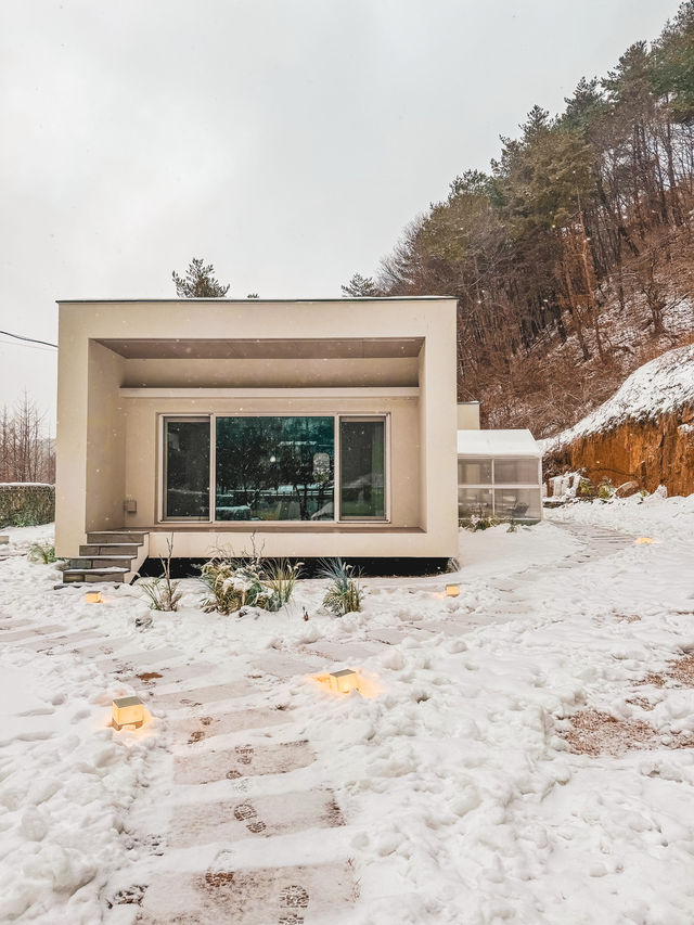 강원도 감성숙소추천✨