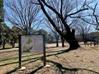 Nogawa Park (野川公園)