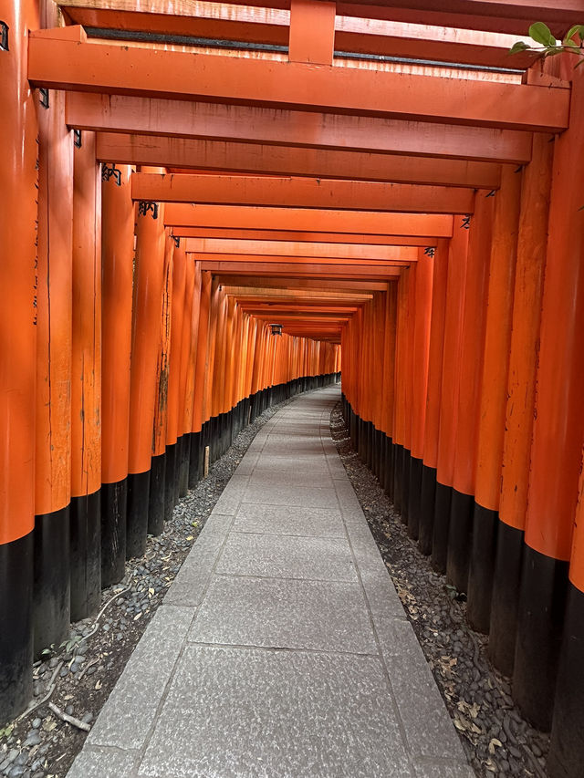 Kyoto: The Timeless Heart of Japan’s Culture and Tradition