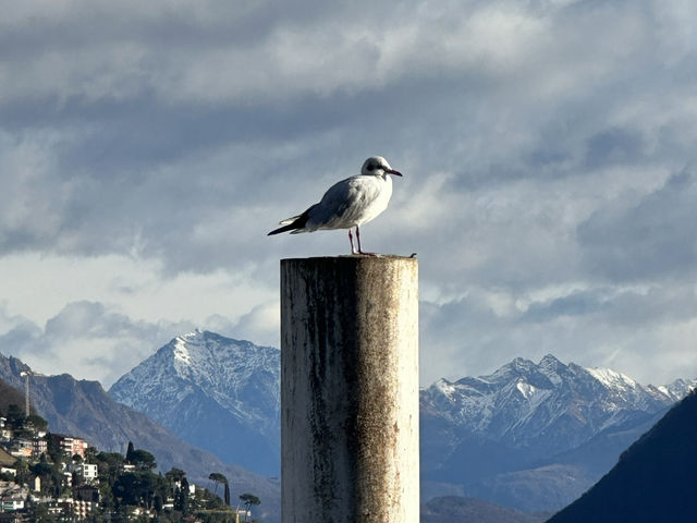 A Day in Lugano: Swiss Charm with an Italian Flair