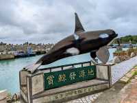 豐濱海岸-石梯坪景區，慢遊賞鯨勝地和漁港小吃