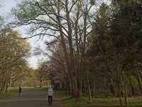 Makomanai Park