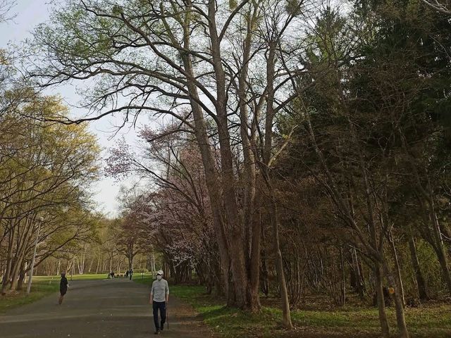 Makomanai Park