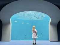【香川/宇多津】四国の美しい水景をテーマにした「四国水族館」