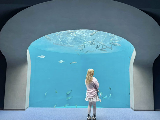 【香川/宇多津】四国の美しい水景をテーマにした「四国水族館」