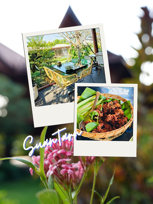 💓 ร้านสวนตาลคาเฟ่