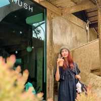 คาเฟ่เปิดใหม่ชลบุรี Shush เหมือนไปเขาใหญ่ 
