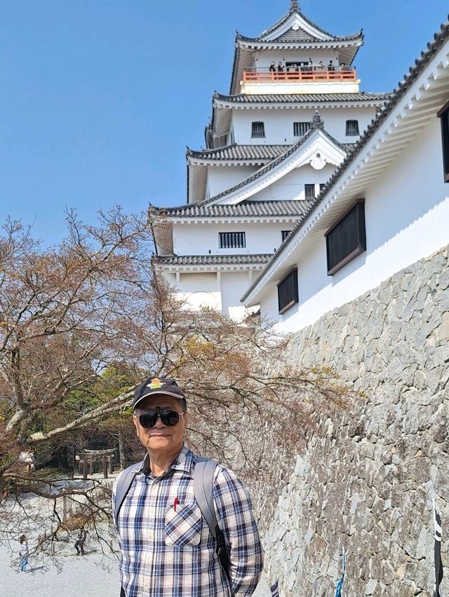 福岡大濠公園和熊本地區