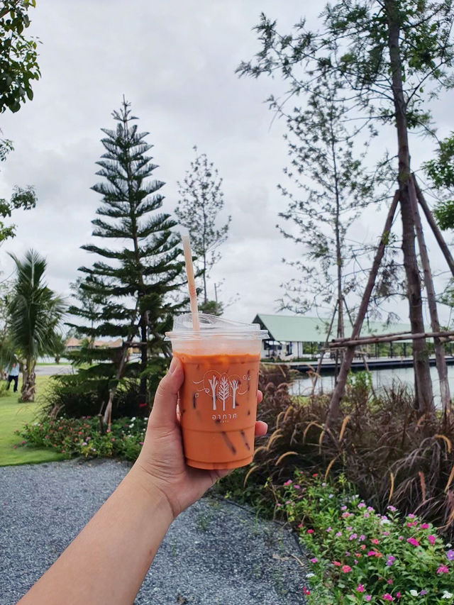 อากาศคาเฟ่ เครื่องดื่มอร่อย ที่พักวิวสวย