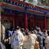 廣仁寺祈財之旅-黃財神卡、吐寶鼠！財運亨通！