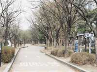 汝矣島公園週末必訪 放鬆心情的完美選擇 舒服到伸懒腰