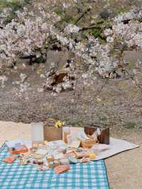 「春の東京を満喫🌸✨」都内の桜おすすめスポットまとめ