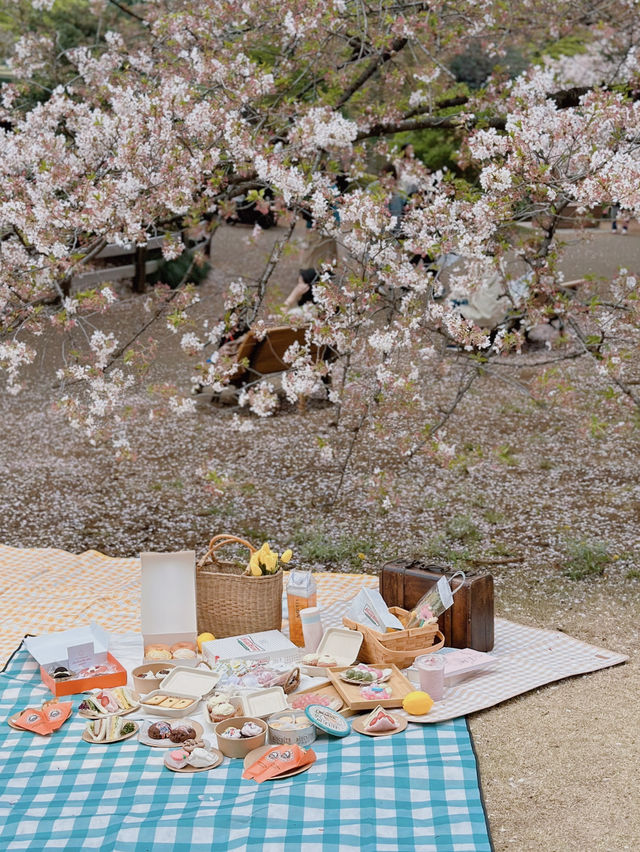 「春の東京を満喫🌸✨」都内の桜おすすめスポットまとめ