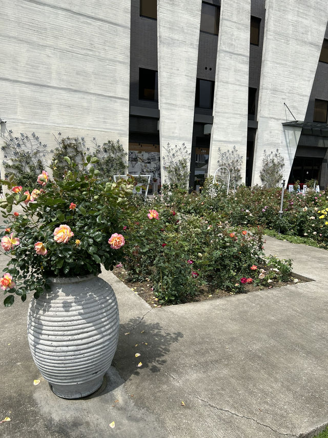 雅聞玫瑰花園免入園費！！