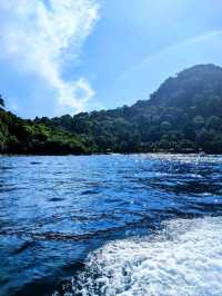 Tenggol Coral Beach Resort - The Dive Site