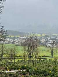 Misty Morning in Lu Village: A Painting Come to Life