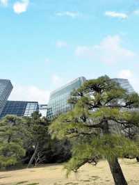 Spring at Hamarikyu Gardens🌼