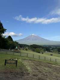 🇯🇵可以影到飛越富士山的童話牧場🐑✨