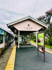 【日本山梨】新倉山淺間公園：步入秋天的畫卷