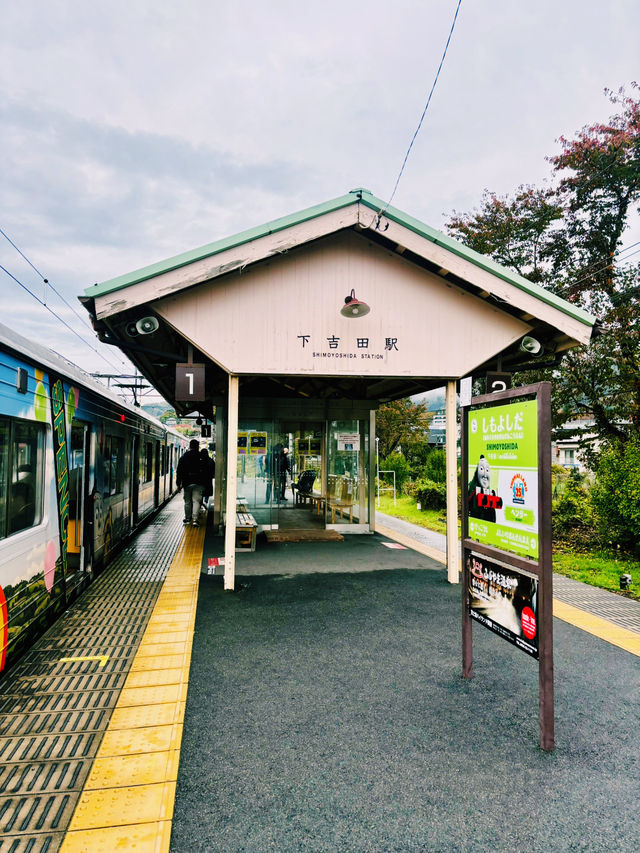 【日本山梨】新倉山淺間公園：步入秋天的畫卷