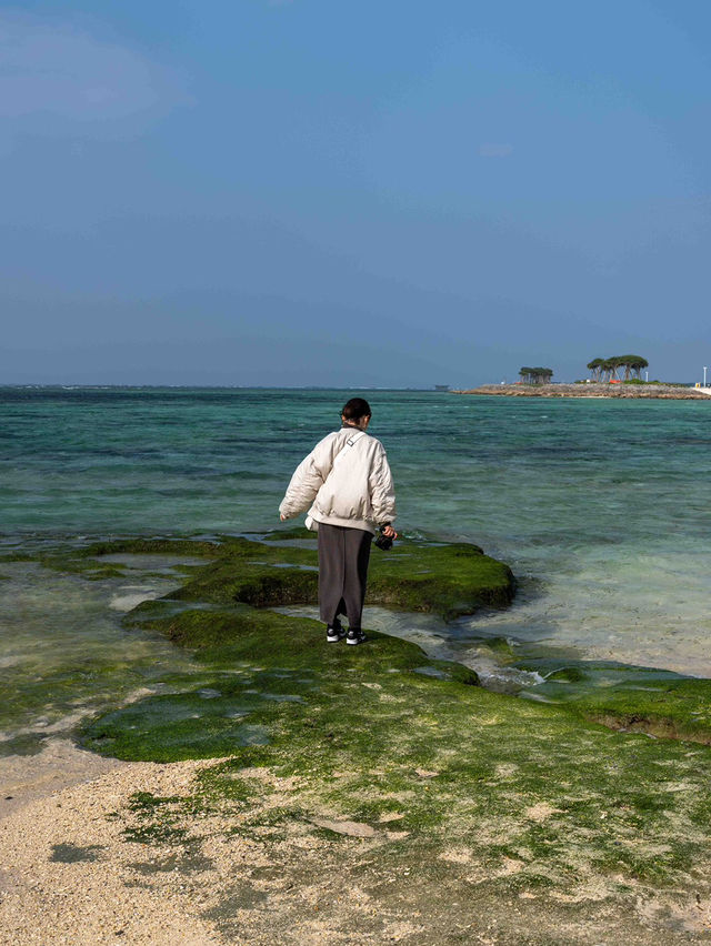 美ら海水族館 – 世界屈指の大水槽を体感🐠🌊