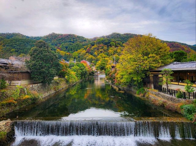Arashiyama in Early Autumn: A Symphony of Colors and Serenity🎍🍂