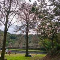 內湖大湖公園