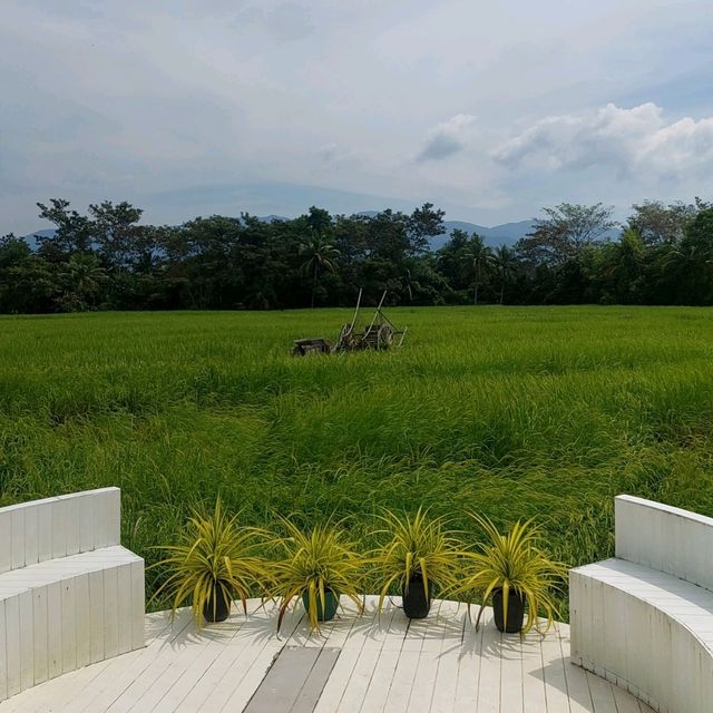 🌾🌾ยุ้งฉาง คาเฟ่ จันทบุรี🌾🌾