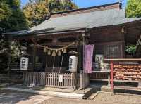 【千葉】日本一の男根像をお祀りする魂生大明神