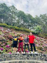 Da Lat in its best season of the year 