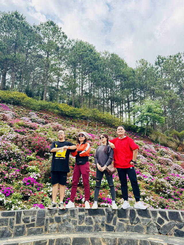 Da Lat in its best season of the year 