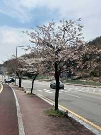 청주 자연 속 힐링 산책 코스, 명암 유원지🤍🍀
