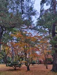 日本名古屋 | 兼六園