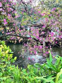 Canton Orchid Garden (Lanpu Park)