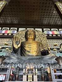 【福井×越前大仏】日本一の大仏様と1712体の小さな石仏がびっしり！