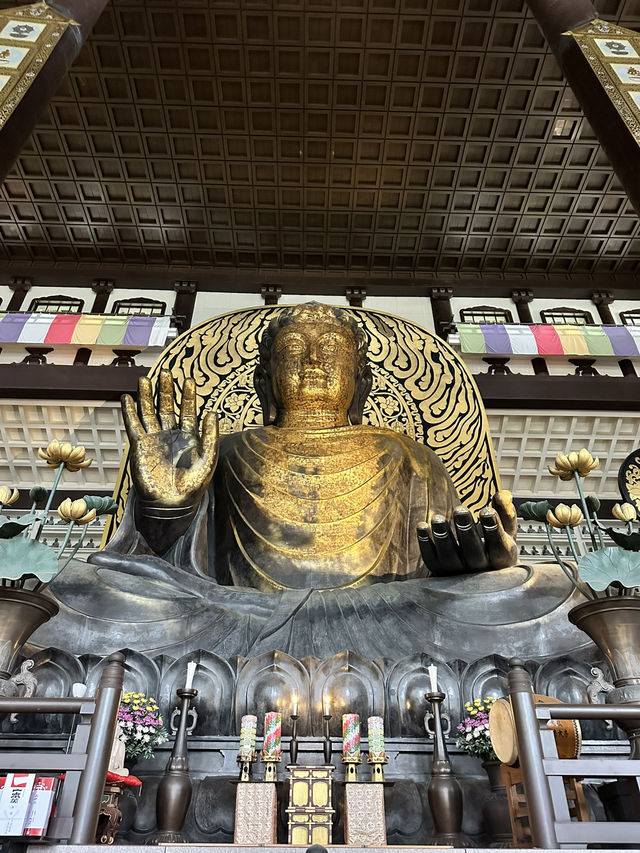 【福井×越前大仏】日本一の大仏様と1712体の小さな石仏がびっしり！