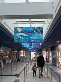 Where the Sea Comes Alive: Exploring Aqua World Oarai
