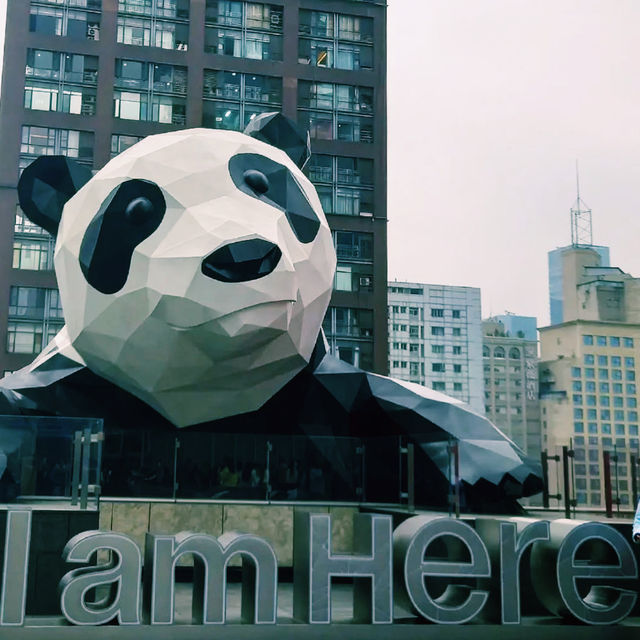 🇨🇳:成都 ビルをよじ登るパンダに驚き！写真必須のショッピング天国🐼🏢