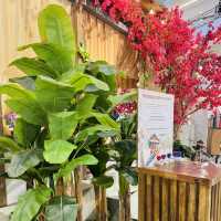 Kampung Lembah Tengah in Full Bloom