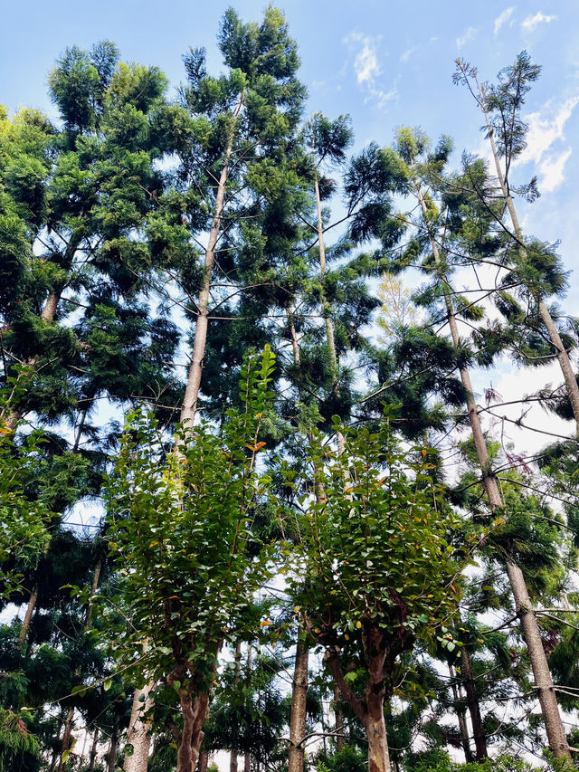 Taman Saujana Hijau: Sustainable Green Sanctuary