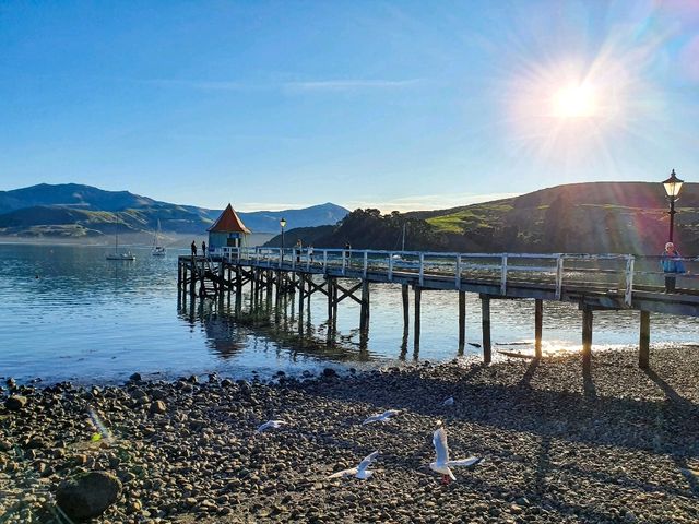 Akaroa – A Hidden Gem with Gorgeous Sunset🌄