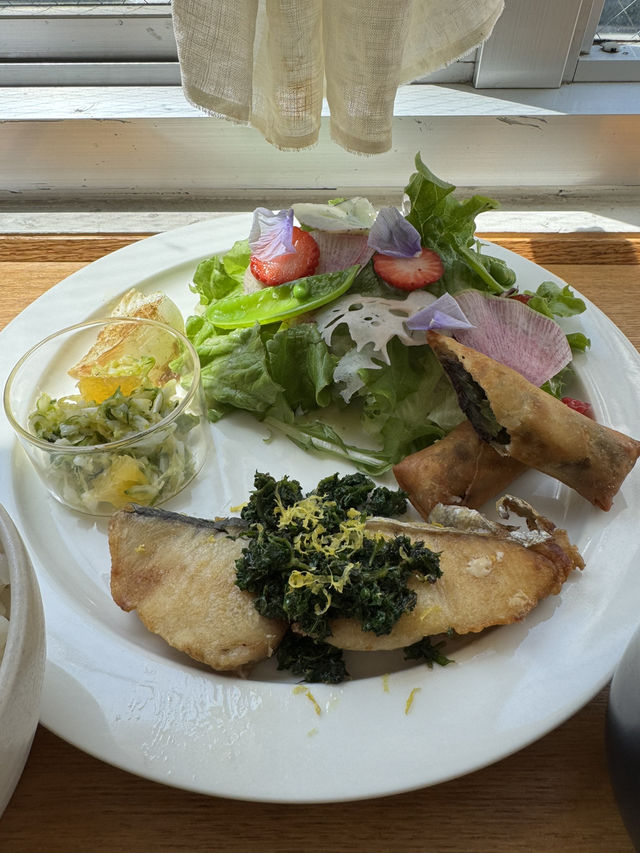 春野菜をたっぷりと使用したランチプレート🌸