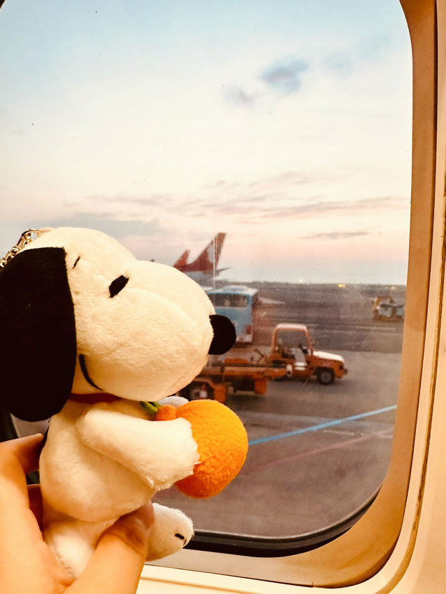 濟州🇰🇷🍊史努比花園 Snoopy Garden 超好拍！